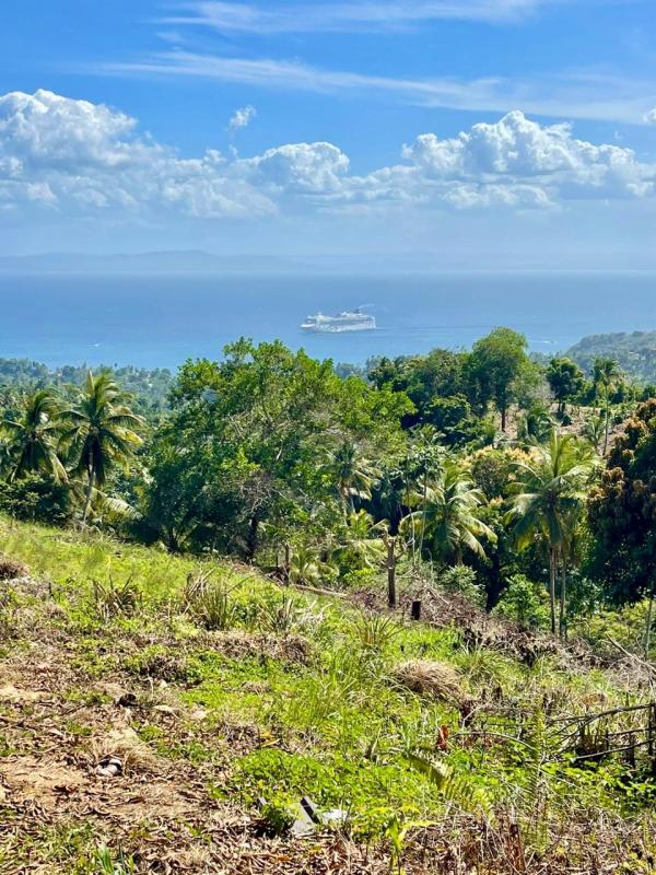 Se vende Terreno de 2,793 m² en Samaná Rep. Dom. - Imagen 6
